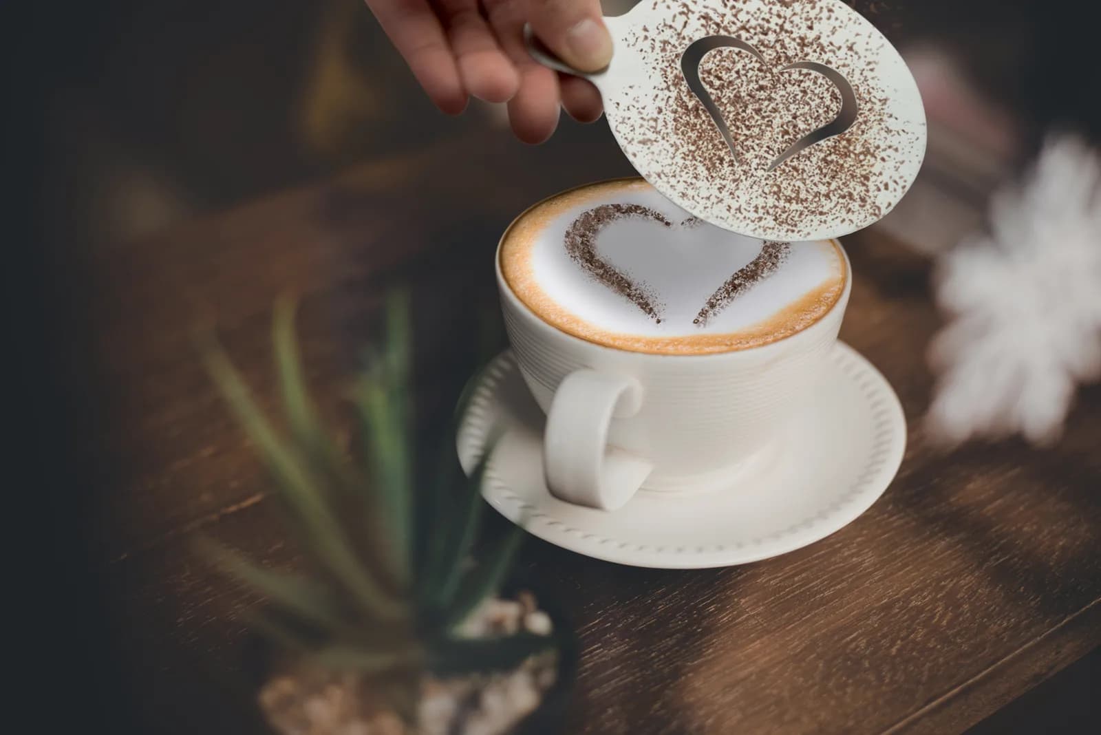 Pochoirs à café latte art inox — Securit®