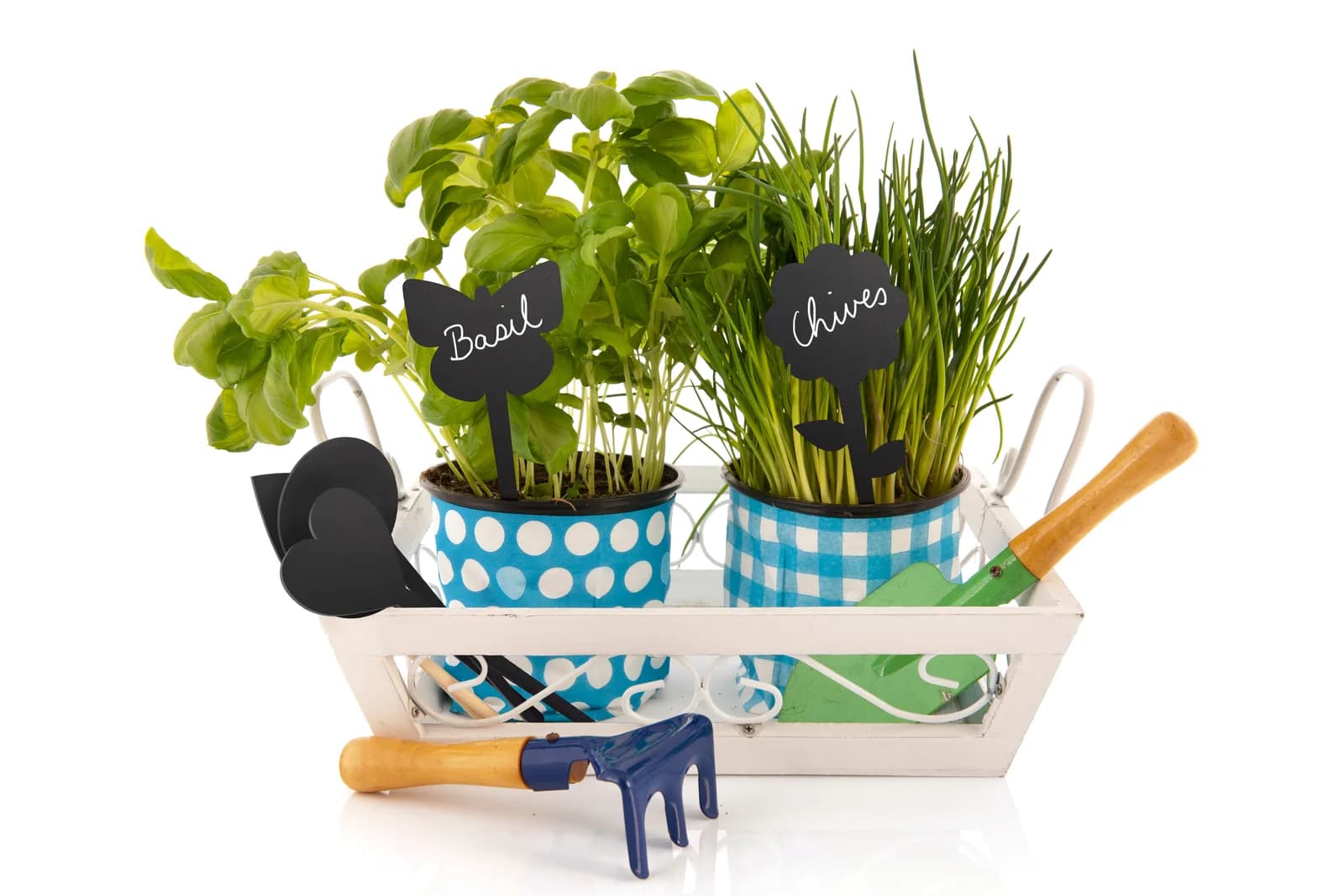 Mini chevalet ardoise papillon - Lot de 5 — Securit®